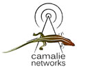 Camalie Networks Logo